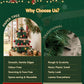 Paper Christmas Tree 61CM w/ Star Topper Xmas Decor Tabletop Green DIY Ornament Set