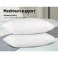 Set of 2 Duck Feather Down Pillow Luxury