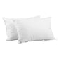 Set of 2 Goose Feather Down Pillow