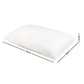 Set of 2 Memory Foam Pillow Bamboo Cover