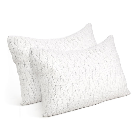Set of 2 Rayon Single Memory Foam Pillow - White