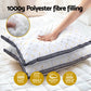 Set of 2 Pillows Microfibre - White