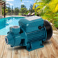 Peripheral Pump Water Garden Boiler Car Wash Irrigation Electric QB60