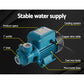 Peripheral Pump Water Garden Boiler Car Wash Irrigation Electric QB60