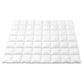 Double Giselle Bedding 800GSM Goose Down Feather Quilt Winter Blanket Duvet Comforter