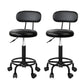 Set of 2 Salon Stool Swivel Chair Backrest