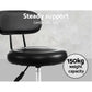 Set of 2 Salon Stool Swivel Chair Backrest