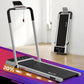Everfit 3 in 1 Walking Pad Treadmill 20% Auto Incline Under Desk Foldable Treadmills for Home With 40cm Wide Belt Silver