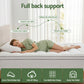 King Single Giselle Bedding Mattress Topper 5cm Coral Fleece