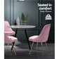 Kody Set of 2 Dining Chairs Retro Cafe Kitchen Modern Iron Legs Velvet - Pink