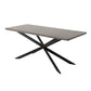Carter Rectangular Dining Table Mdf Marbling