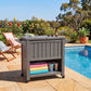 Kyle Garden Bar Serving Cart With Cooler - Taupe