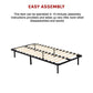 Eliana Metal Bed Frame - Black King Single