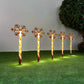 Set of 5 Candy Path Lights 20 LED - Snowflake