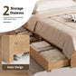 Kinsale Bed Frame with 2 Drawers PU Leather Headboard & Charging Station - Oak Queen