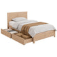Lithara Bed & Mattress Package with 32cm Mattress Wooden Bed with Drawers - Wood King Single