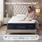 Hazel 34cm Thick Medium Firm Hybrid Mattress with Tencel Cooling Pocket Spring - Queen