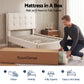 Hazel 34cm Thick Medium Firm Hybrid Mattress with Tencel Cooling Pocket Spring - Queen