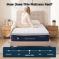 Alessia 30cm Medium Firm Hybrid Mattress with Latex Lumbar Support - Double