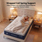 Alessia 30cm Medium Firm Hybrid Mattress with Latex Lumbar Support - Single