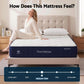 Corinne 26cm Orthopedic Firm Mattress for Back Pain Relief - Queen