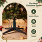 Christmas Tree Stand 360° Rotating for Xmas Tree Up to 2.7M with Remote Control