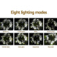 6X3M Christmas Lights Curtain Light 600 LED - Cool White