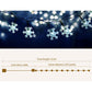 Christmas Lights 100 LED 10M String Light Snow Decorations