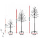 Set of 3 LED Christmas Tree Lighted Birch Tree Indoor Outdoor Xmas Decor Warm White