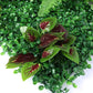 Set of 4 Artificial Hedge Grass Plant Hedge Fake Vertical Garden Green Wall Ivy Mat Fence