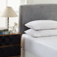 QUEEN 1500 TC Cotton Rich Fitted Sheet 3Piece Set - White