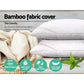 Set of 2 Memory Foam Pillow Bamboo