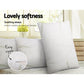 Set of 2 Memory Foam Pillow Bamboo