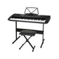 61 Keys Electronic Piano Keyboard Digital Electric with Stand Stool Black