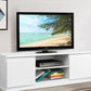 Dyre 120cm TV Entertainment Unit - White - White