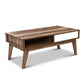 Ibycus Coffee Table with 2 Drawers - Wood