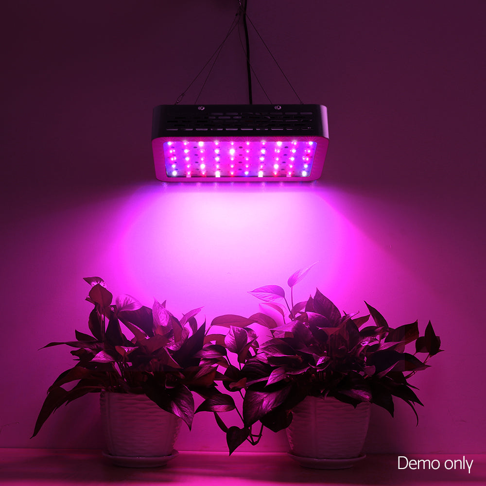 600W Grow Light LED Full Spectrum Indoor Plant All Stage Growth