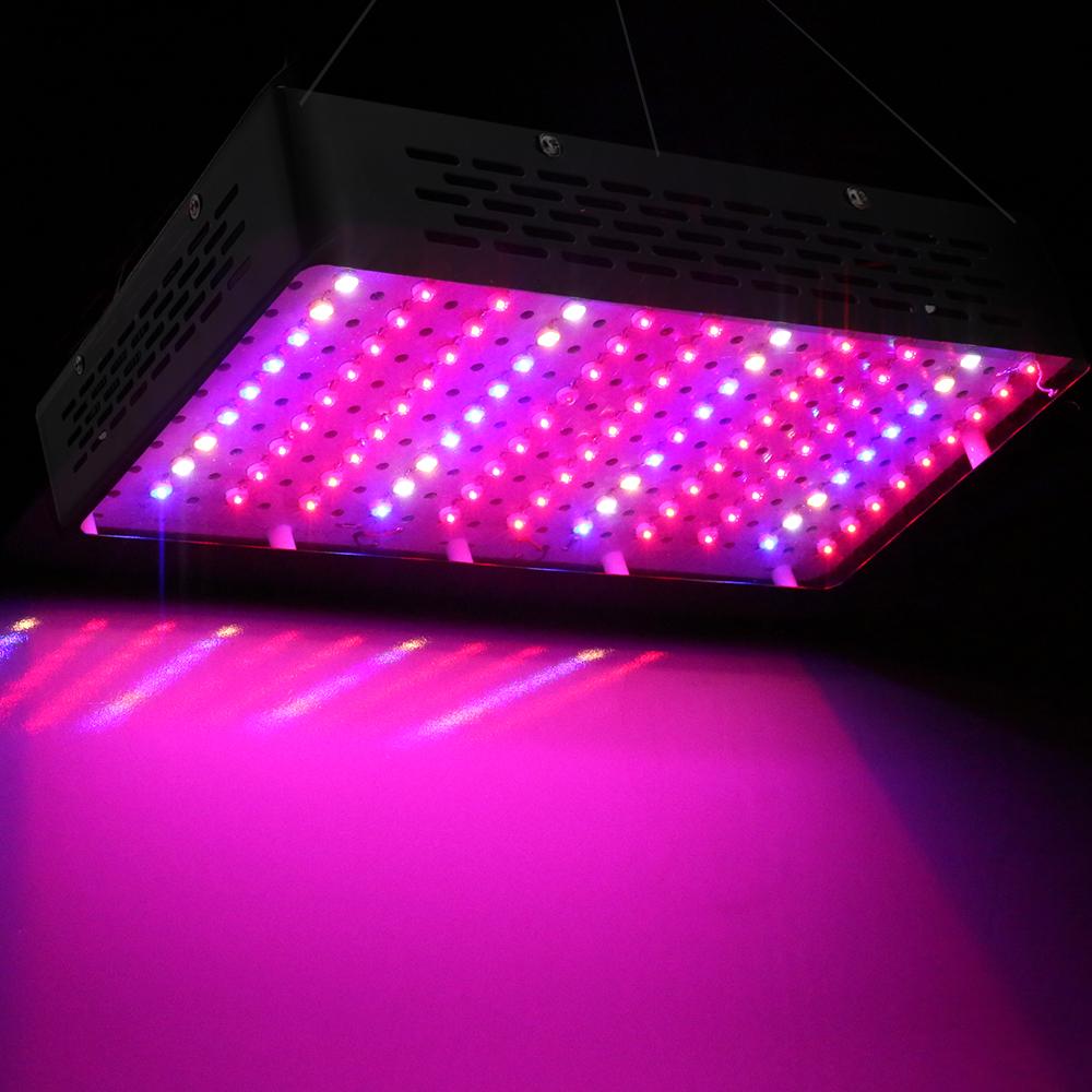 1000W Grow Light LED Full Spectrum Indoor Plant All Stage Growth