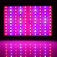 1000W Grow Light LED Full Spectrum Indoor Plant All Stage Growth