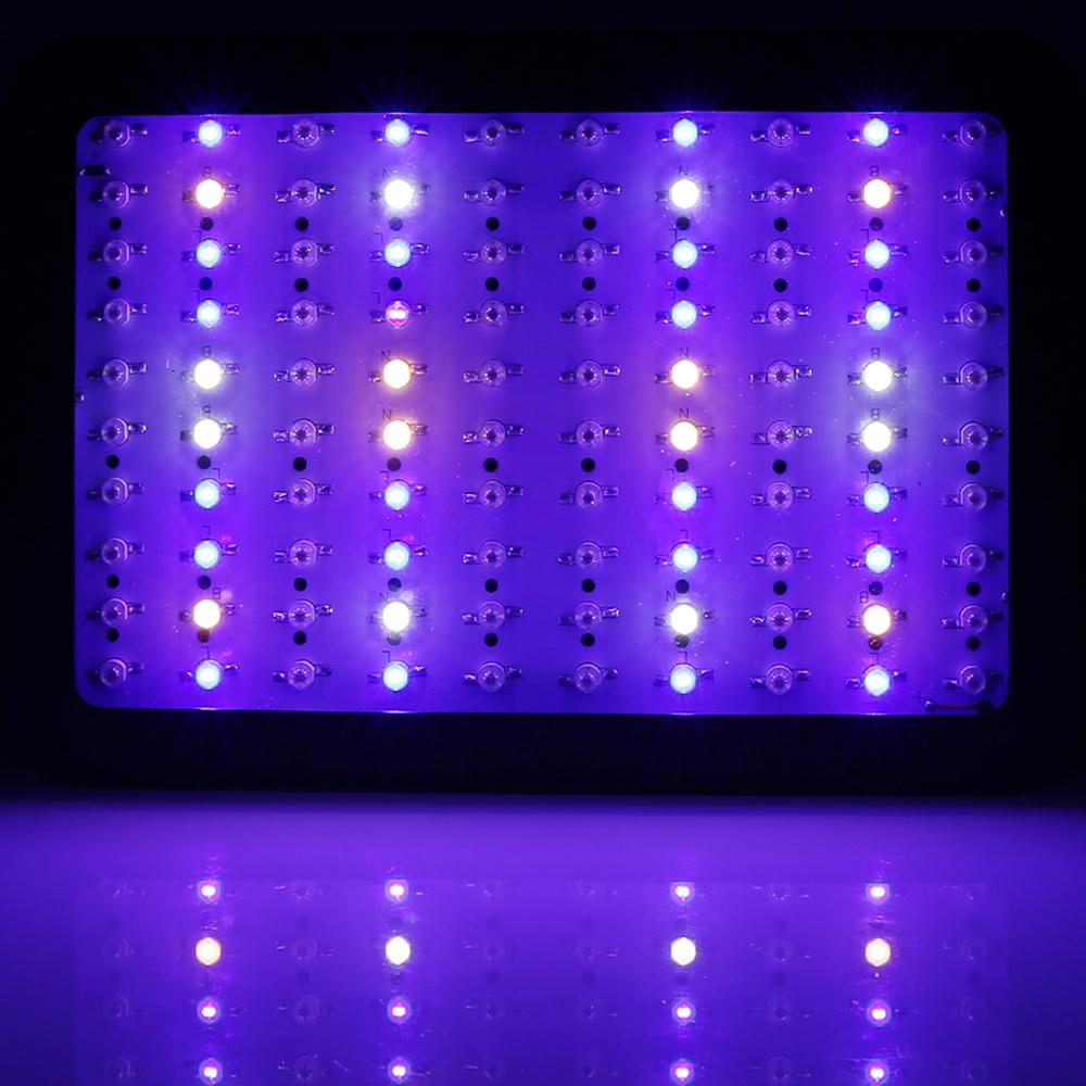 1000W Grow Light LED Full Spectrum Indoor Plant All Stage Growth