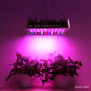 1000W Grow Light LED Full Spectrum Indoor Plant All Stage Growth