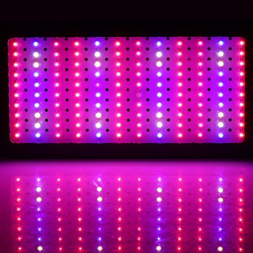 1200W LED Grow Light Full Spectrum