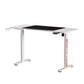 Electric Standing Desk Sit Stand Gaming Desks RGB Light Home Office Table