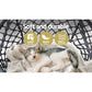 Hammock Chair Outdoor Hanging Macrame Cotton Indoor - Grey