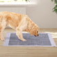 400 PCS 60x60cm Charcoal Pet Puppy Dog Toilet Training Pads Ultra Absorbent