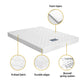 Shain 13cm Mattress Tight Top - Double