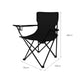 Set of 2 Folding Camping Chairs Arm Foldable Portable Outdoor Fishing Picnic Chair Black