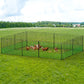 Poultry Chicken Fence Netting Electric wire Ducks Goose Coop 25Mx125CM