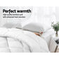 Queen Giselle Bedding 700GSM Microfibre Bamboo Quilt