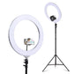 Ring Light 19" LED 6500K 5800Lm Dimmable Diva With Stand Silver